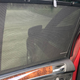 Image for article titled At $13,500, Could This 2012 BMW X5 xDrive 35d Get You To Lean Its Way?
